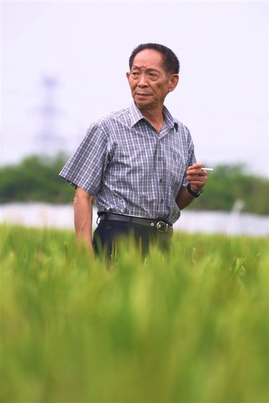 2004年4月12日，袁隆平在三亚研究水稻。